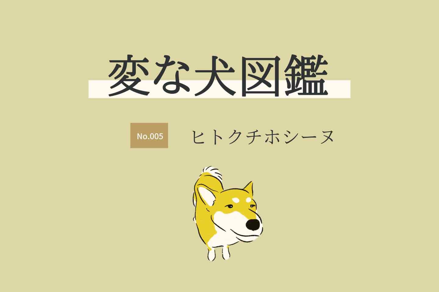 【変な犬図鑑No.005 ヒトクチホシーヌ】人間の食べ物を欲しがる犬を獣医師が解説！