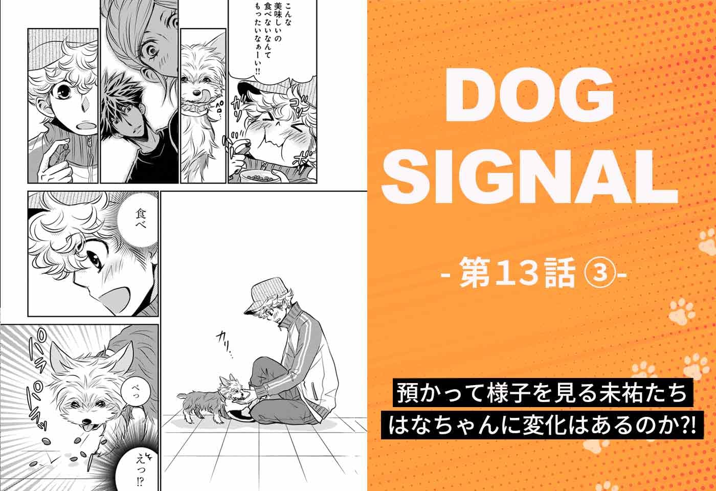 『DOG SIGNAL（ドッグシグナル）』13話目　3/4