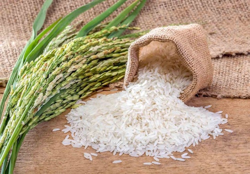 犬に白米 お米 を食べさせても大丈夫 メリットや与える際の注意点を解説 獣医師監修 わんクォール 犬に白米 お米 を食べさせても大丈夫 メリットや与える際の注意点を解説 獣医師監修 わんクォール