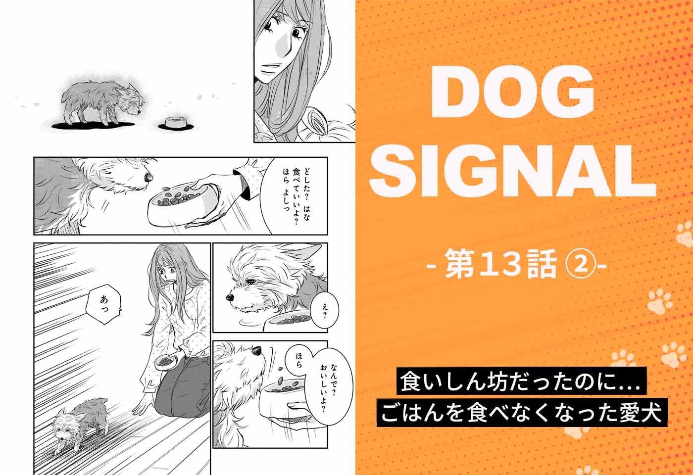 『DOG SIGNAL（ドッグシグナル）』13話目　2/4