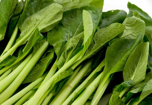 犬は小松菜を食べても大丈夫 栄養素や与える際の注意点について解説 獣医師監修 わんクォール 犬は小松菜を食べても大丈夫 栄養素や与える際の注意点について解説 獣医師監修 わんクォール