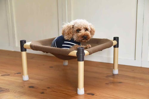 オール100均 愛犬用ドッグコットを簡単に手作り 軽くて持ち運びやすいからキャンプやアウトドアで大活躍 わんクォール オール100均 愛犬用ドッグコットを簡単に手作り 軽くて持ち運びやすいからキャンプやアウトドアで大活躍 わんクォール