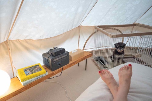愛犬とテントで優雅な朝のひととき