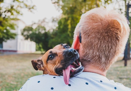 犬が反応する音とは 好きな音 嫌いな音はある 音に敏感な理由も解説 獣医師監修 わんクォール 犬が反応する音とは 好きな音 嫌いな音はある 音に敏感な理由も解説 獣医師監修 わんクォール