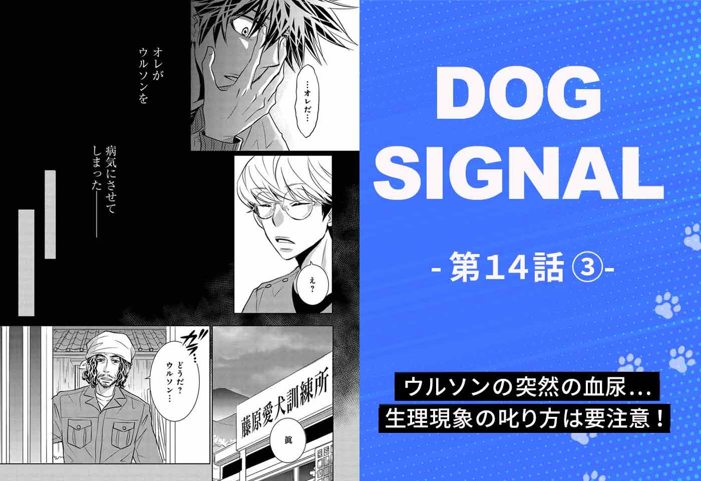 DOG SIGNAL（ドッグシグナル）』14話目 3/4|ワンクォール