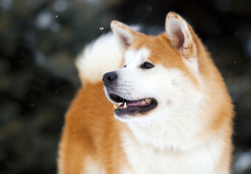 0e1 Raqu5y1c M 0e1 Raqu5y1c M