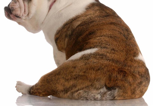 P6svkwhh4gadwm P6svkwhh4gadwm