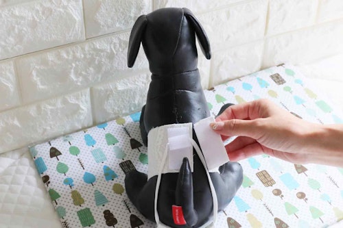 型紙 ミシン不要 愛犬のマナーパンツを簡単に手作り オス メス使える作り方で外出時にも大活躍 わんクォール 型紙 ミシン不要 愛犬のマナーパンツを簡単に手作り オス メス使える作り方で外出時にも大活躍 わんクォール