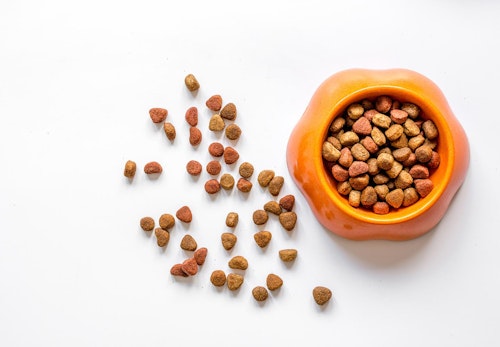 犬が1日に必要なカロリーは 計算方法とフードやおやつの目安量を解説 獣医師監修 わんクォール 犬が1日に必要なカロリーは 計算方法とフードやおやつの目安量を解説 獣医師監修 わんクォール