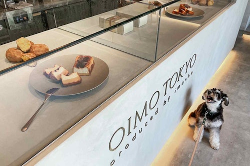 『& OIMO TOKYO CAFE 中目黒』全てのメニューにサツマイモを使用　ミニチュアシュナウザー 