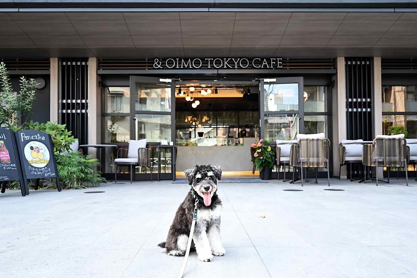 『& OIMO TOKYO CAFE 中目黒』愛犬と飼い主の大好物が大集合♡