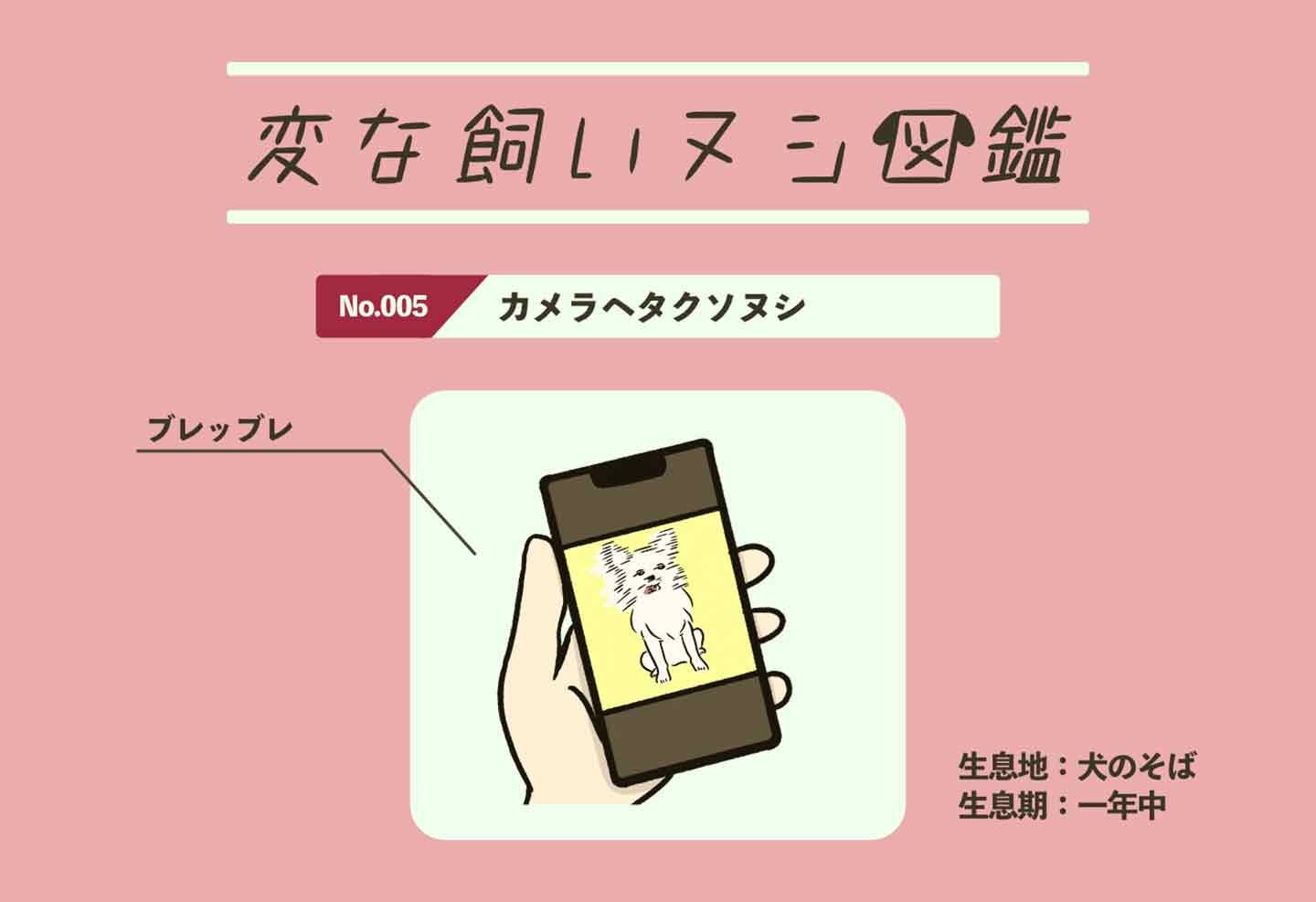 【変な飼いヌシ図鑑No.005】愛犬を全然可愛く撮れない飼い主『カメラヘタクソヌシ』