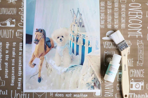 愛犬デザインのオリジナル時計の作り方手順　キャンバスに写真を貼る