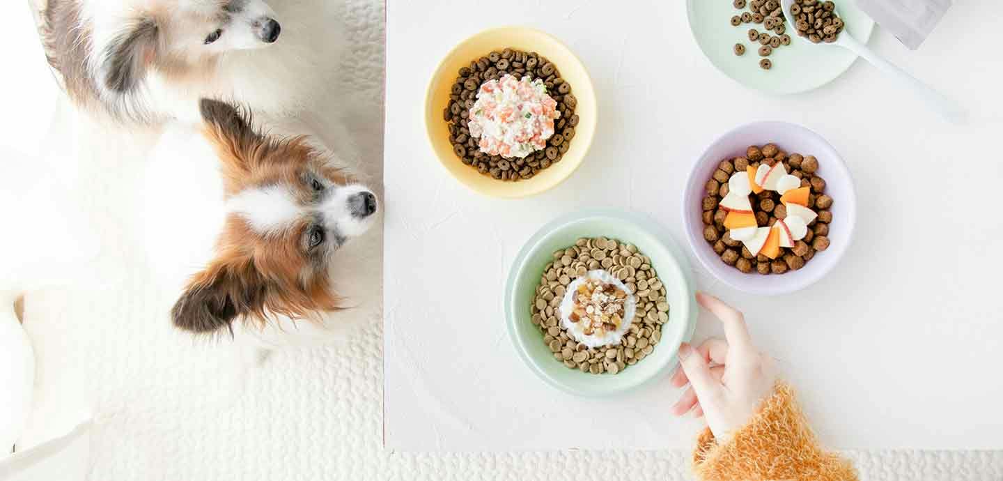 お悩み別】秋の食材を使った愛犬用ドッグフードのトッピングレシピ3選