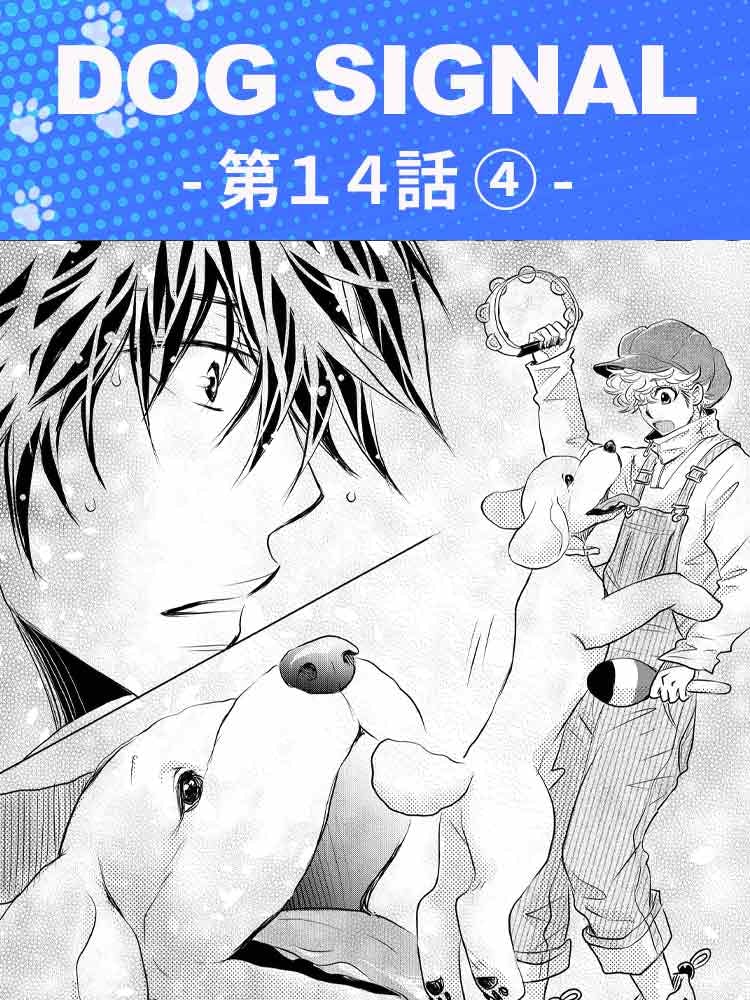 DOG SIGNAL : 0 - みやうち 本 (BRIDGE COMICS) 沙矢: 14」みやうち沙