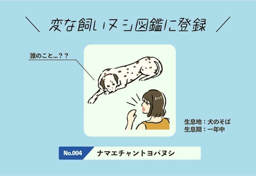 変な飼いヌシ図鑑No.004 『ナマエチャントヨバヌシ』