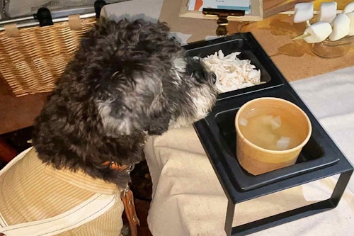 犬用メニュー　季節の野菜スープと千葉県産「錦爽どり」のささみ