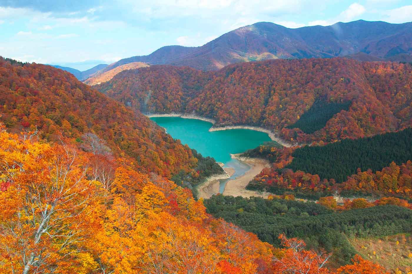 愛犬と紅葉を楽しもう！富良野・雫石・苗場で楽しむ”紅葉ロープウェイ”|ワンクォール