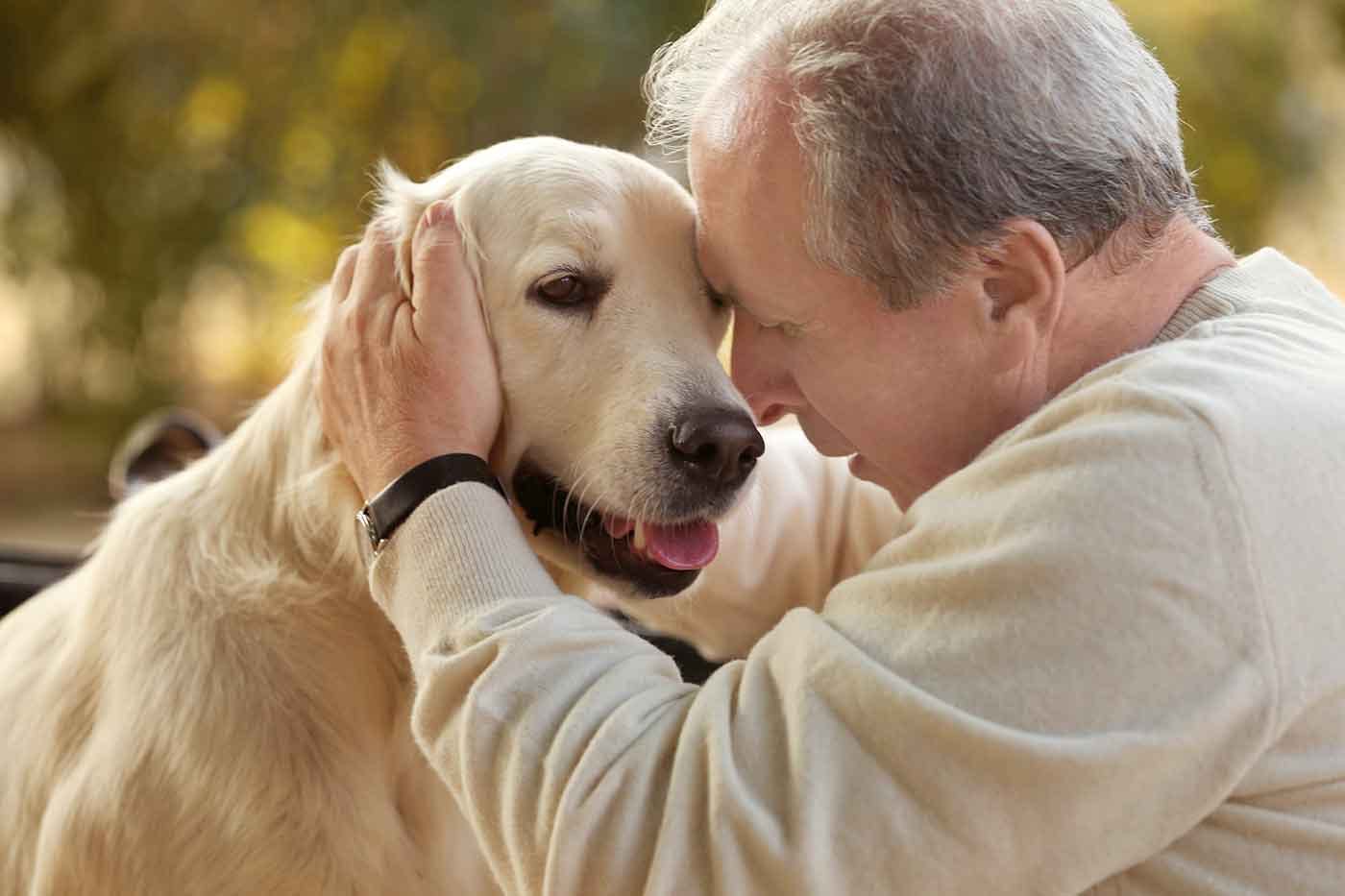 ”看取り犬”と呼ばれる元保護犬「文福」がもつ驚異の能力とは?横須賀の老人ホームでの感動実話が漫画化!