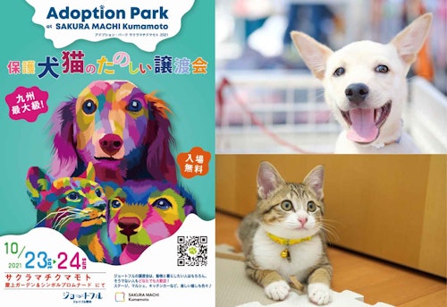 ADOPTION PARKって何？九州最大級の楽しい保護犬猫の譲渡会が「サクラマチクマモト」で開催！