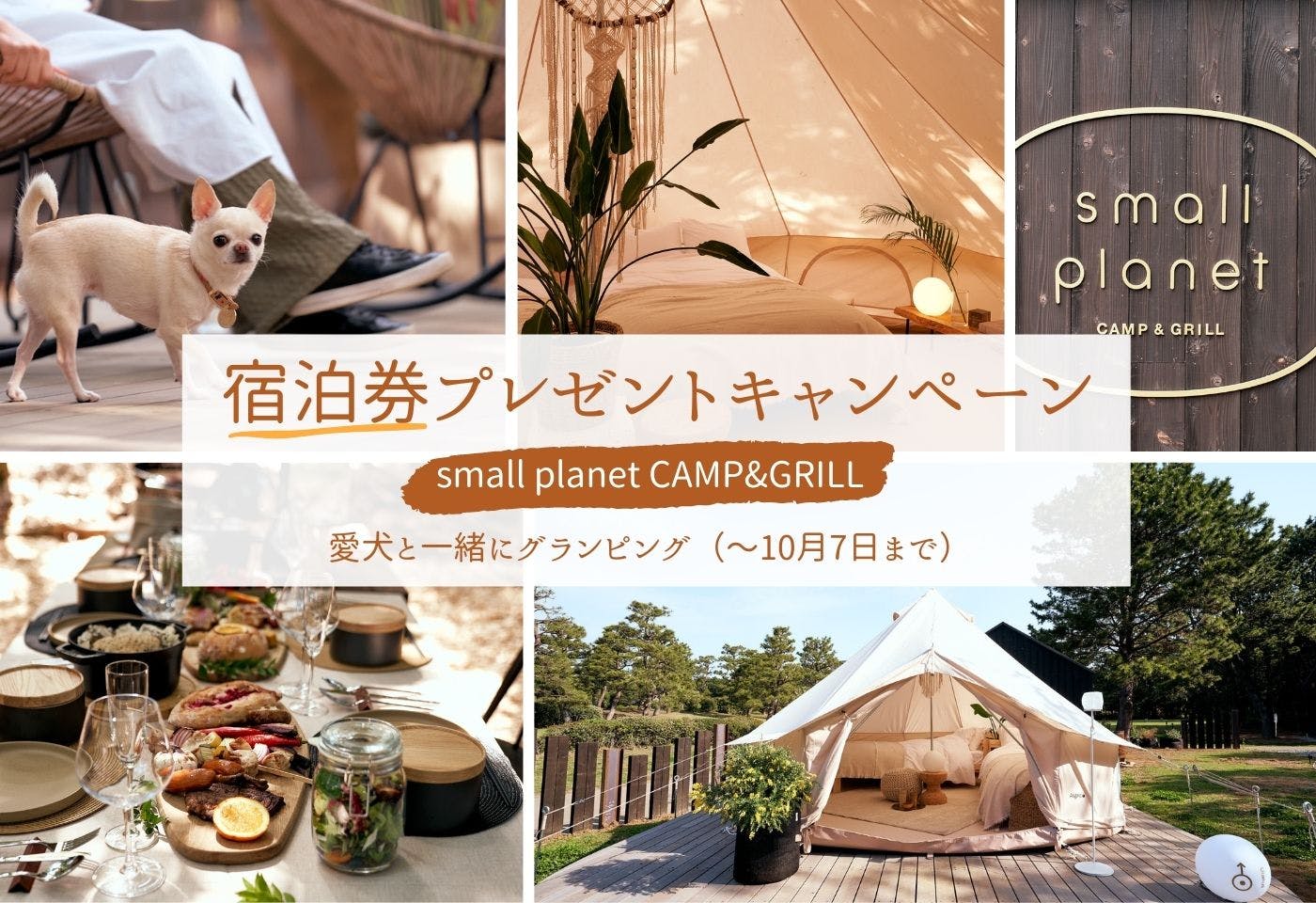 【宿泊ご招待】愛犬と過ごせる千葉・稲毛のグランピング施設『small planet CAMP & GRILL』の宿泊券をプレゼント!