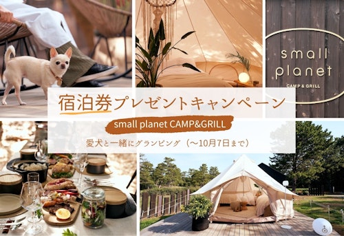 宿泊ご招待 愛犬と過ごせる千葉 稲毛のグランピング施設 Small Planet Camp Grill の宿泊券をプレゼント わんクォール 宿泊ご招待 愛犬と過ごせる千葉 稲毛のグランピング施設 Small Planet Camp Grill の宿泊券をプレゼント わんクォール