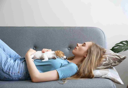 犬が飼い主のお腹の上で寝る理由とは 寝方で分かる心理と注意点を解説 獣医師監修 わんクォール 犬が飼い主のお腹の上で寝る理由とは 寝方で分かる心理と注意点を解説 獣医師監修 わんクォール