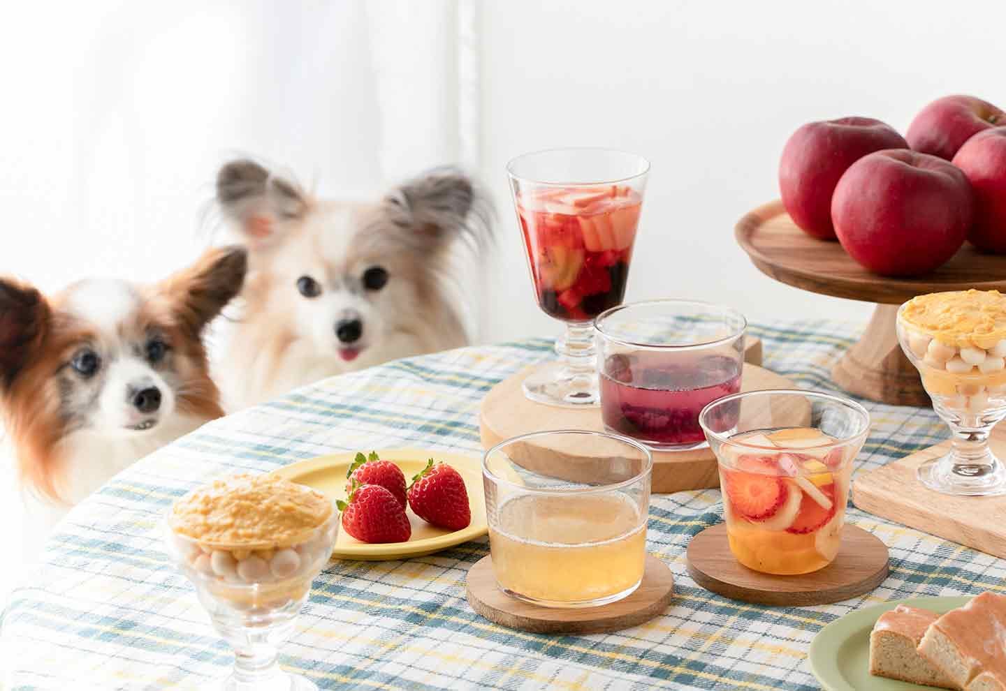 【ぶどう・アルコール不使用】愛犬用ワイン・サングリア風のドリンクで一緒に乾杯！秋冬の水分不足にも◎