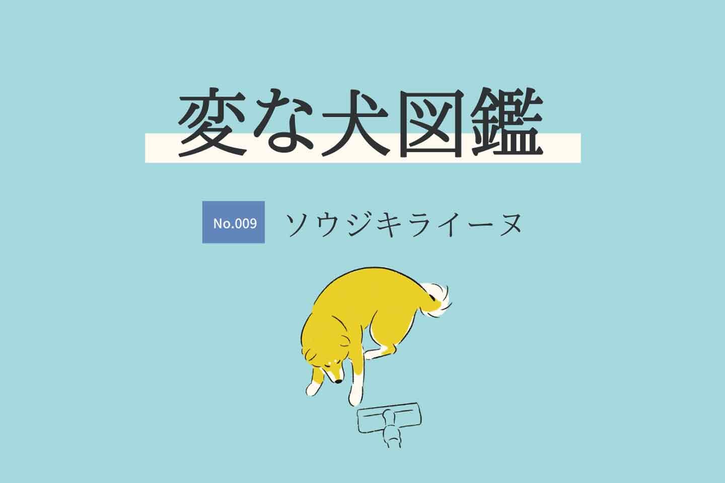 【変な犬図鑑No.009 ソウジキライーヌ】吠えたり噛んだりして掃除機と戦う犬を獣医師が解説！