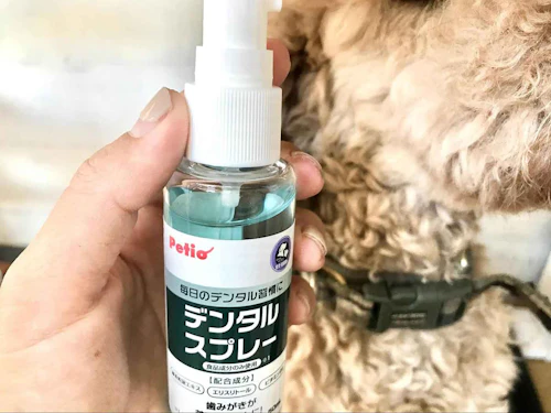 レビュー 愛犬の口臭ケアにおすすめな6つのアイテムをチェック 歯磨き ジェル スプレー わんクォール レビュー 愛犬の口臭ケアにおすすめな6つのアイテムをチェック 歯磨き ジェル スプレー わんクォール