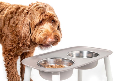 偏食 食べ渋り 食べムラ 犬がなかなかご飯を食べてくれないときの対処法8選 獣医師監修 わんクォール 偏食 食べ渋り 食べムラ 犬がなかなかご飯を食べてくれないときの対処法8選 獣医師監修 わんクォール