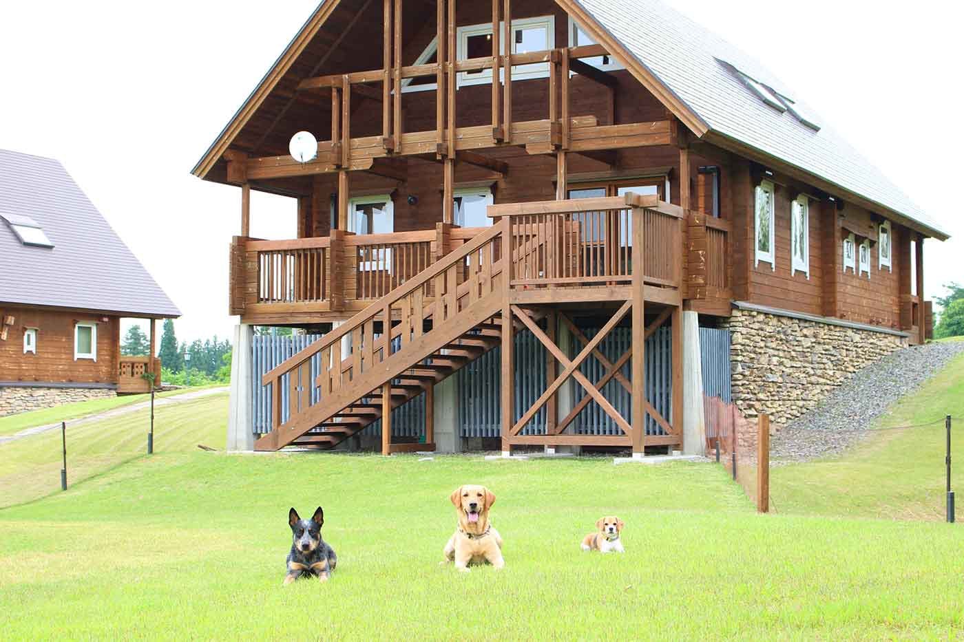 宿泊ご招待】大型犬もOK！コテージに愛犬と宿泊できる新潟『あてま高原リゾート ベルナティオ』の宿泊券をプレゼント|ワンクォール