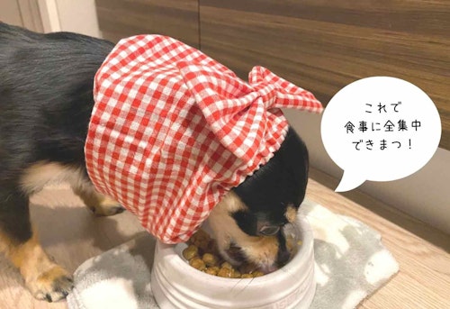 Migcpk3tmyqz7m Migcpk3tmyqz7m