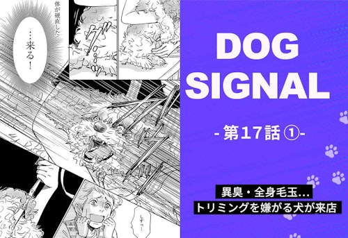 『DOG SIGNAL』17話目④　表紙