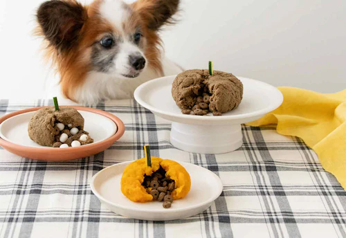 ハロウィン 愛犬のフードをアレンジしたかぼちゃレシピ 仕掛けごはん おやつ でトリック トリート わんクォール ハロウィン 愛犬のフードをアレンジしたかぼちゃレシピ 仕掛けごはん おやつ でトリック トリート わんクォール