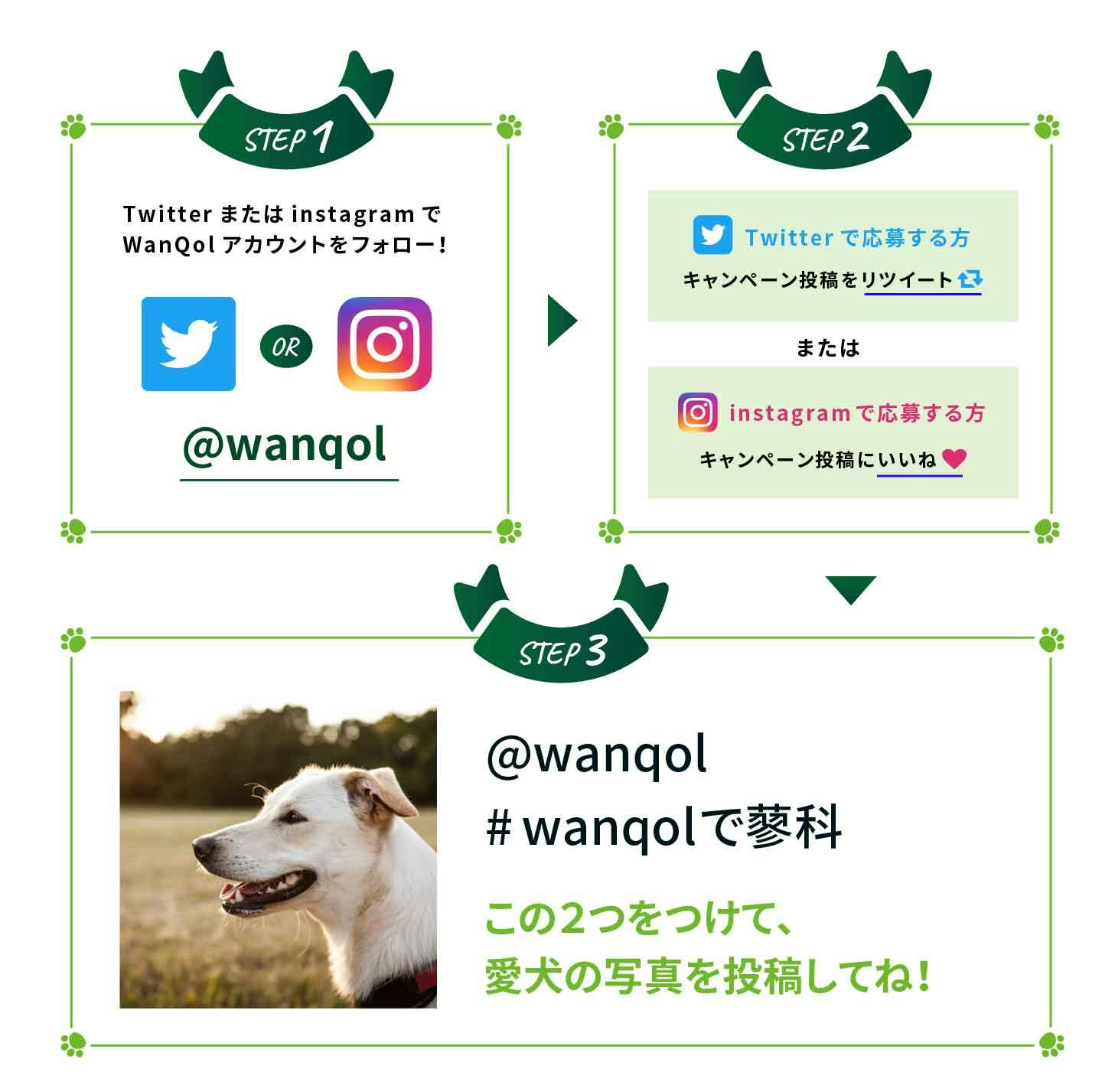 WanQolのキャンペーン参加方法