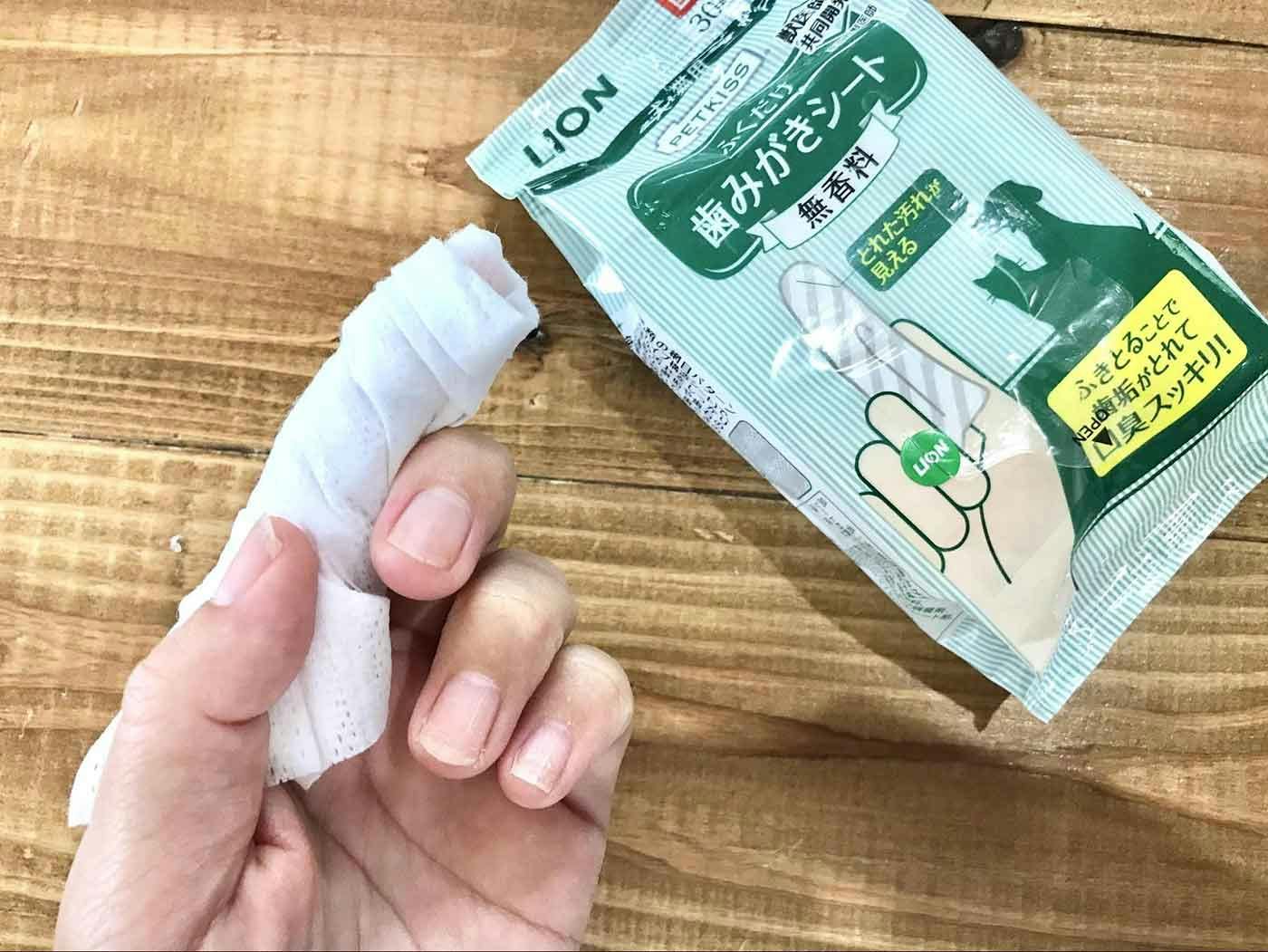ペット用歯磨きジェル スカローデンタルジェル無香料 40gと猫用 歯ブラシ デントレーナー(2本入) セット デンタルケア用品(猫用) 歯垢 歯石除去