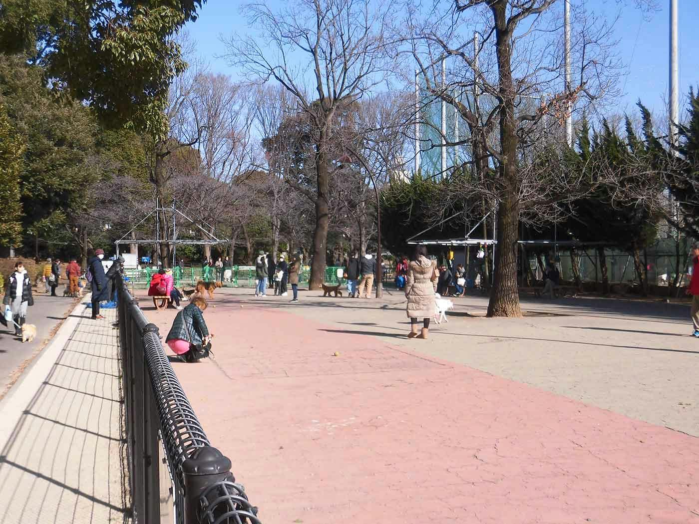 駒沢オリンピック公園のドッグラン