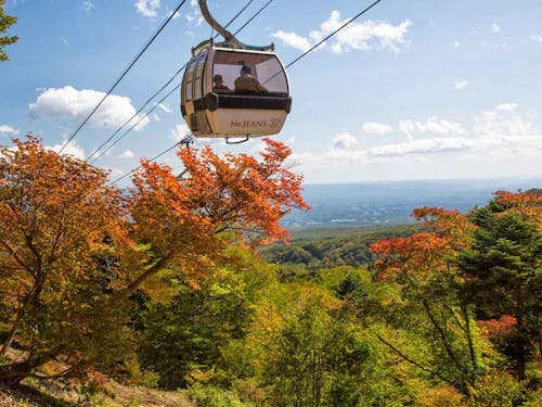 ドッグフレンドリーなマウントジーンズ那須で愛犬と 紅葉那須ゴンドラ を楽しもう わんクォール