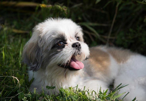 Pn74nwtyua4wpm Pn74nwtyua4wpm