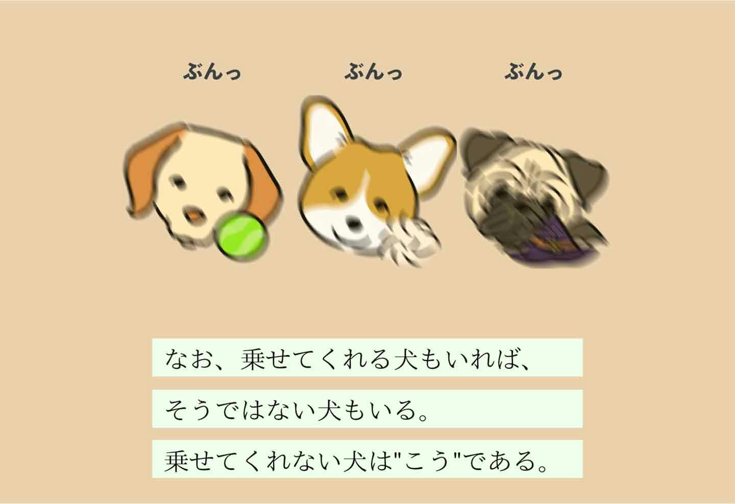 変な飼いヌシ図鑑No.007】愛犬の頭に何かちょこんと置きたくなる飼い主