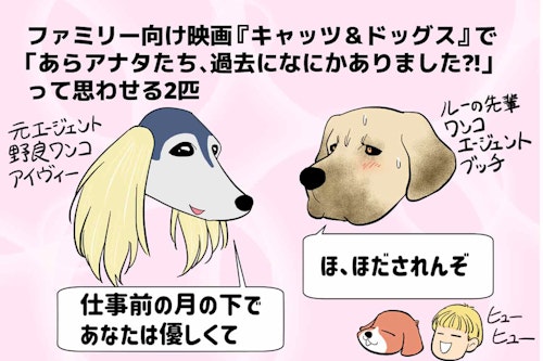 犬映画ノススメ もふもふ好きにはたまらない キャッツ ドッグス 思わず笑っちゃう世紀の肉球争い わんクォール 犬映画ノススメ もふもふ好きにはたまらない キャッツ ドッグス 思わず笑っちゃう世紀の肉球争い わんクォール