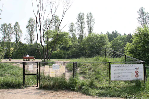 公園のドッグラン 要登録 無料で使えるドッグランのある都立公園一覧と利用時の注意 わんクォール