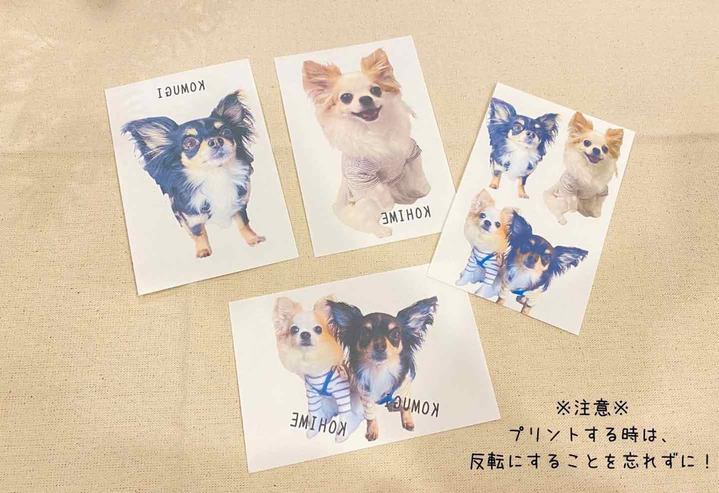 197 Surfer dog フレブル アイロン転写シート 197 Surfer dog フレブル アイロン転写シート Amazon