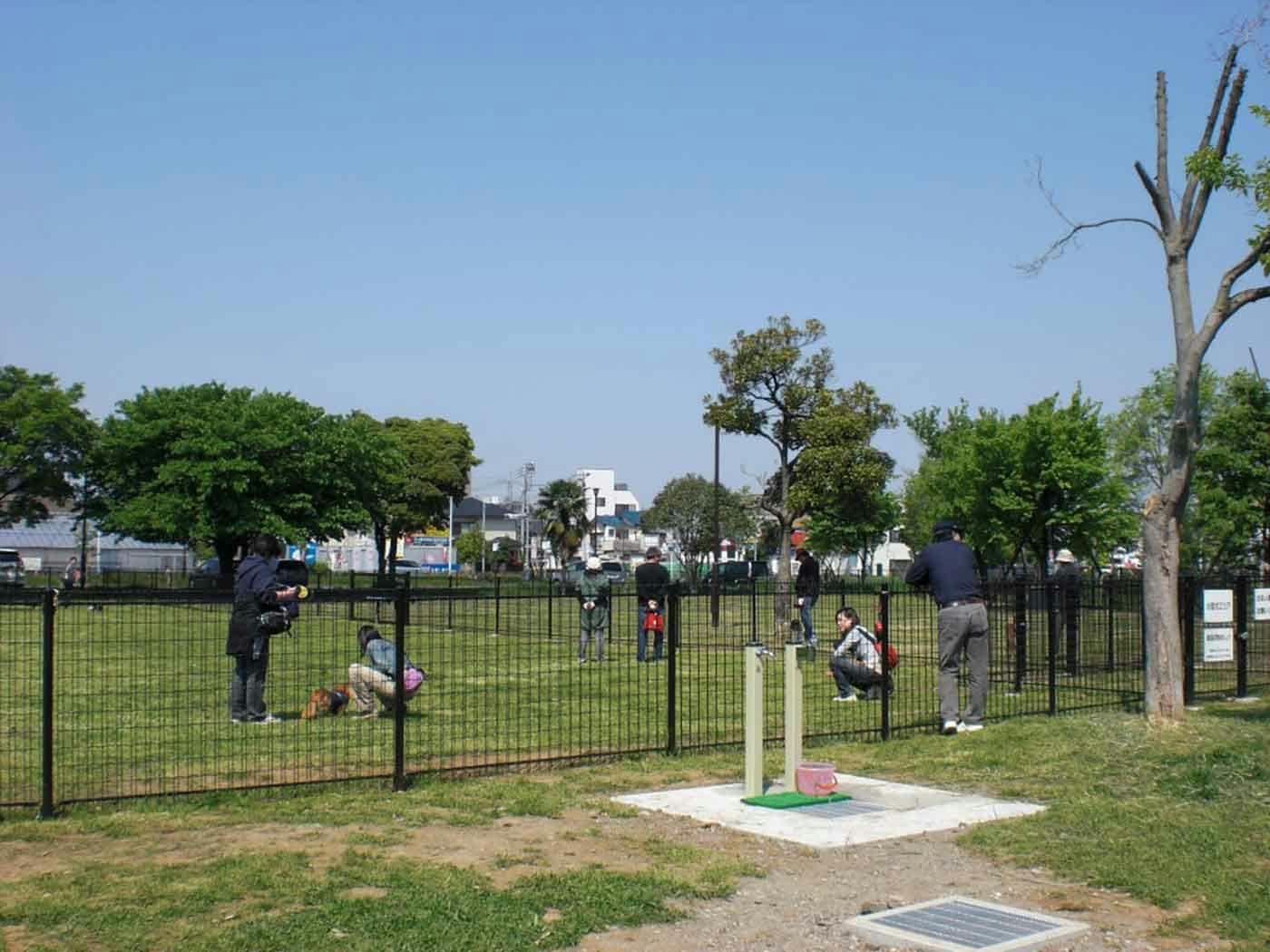 【公園のドッグラン】要登録！無料で使えるドッグランのある都立公園一覧と利用時の注意