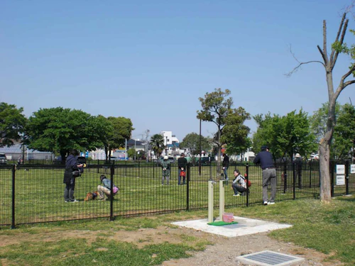 公園のドッグラン 要登録 無料で使えるドッグランのある都立公園一覧と利用時の注意 わんクォール 公園のドッグラン 要登録 無料で使えるドッグランのある都立公園一覧と利用時の注意 わんクォール