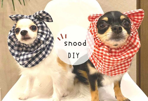 愛犬用スヌードの作り方 直線縫いするだけ お食事の時の耳 顔周りの毛汚れ防止にお手軽diy わんクォール 愛犬用スヌードの作り方 直線縫いするだけ お食事の時の耳 顔周りの毛汚れ防止にお手軽diy わんクォール