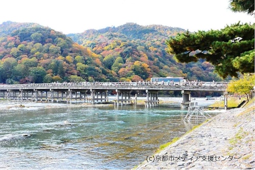 京都渡月橋と紅葉