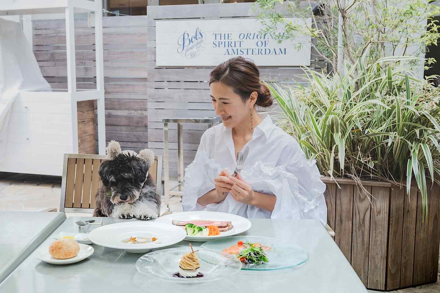 人気カフェ3選 横浜 中区で愛犬とスイーツ三昧 雰囲気 料理 ドッグフレンドリーさが揃ったオススメのおしゃれスポット わんクォール