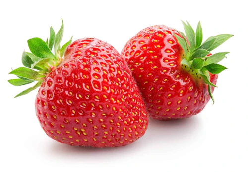 犬に食べさせてokな冬が旬のフルーツ9選 獣医師監修 わんクォール 犬に食べさせてokな冬が旬のフルーツ9選 獣医師監修 わんクォール